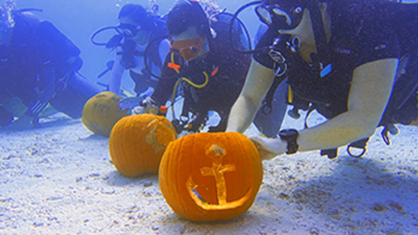 Divers Compete in Underwater Pumpkin Carving in Key Largo