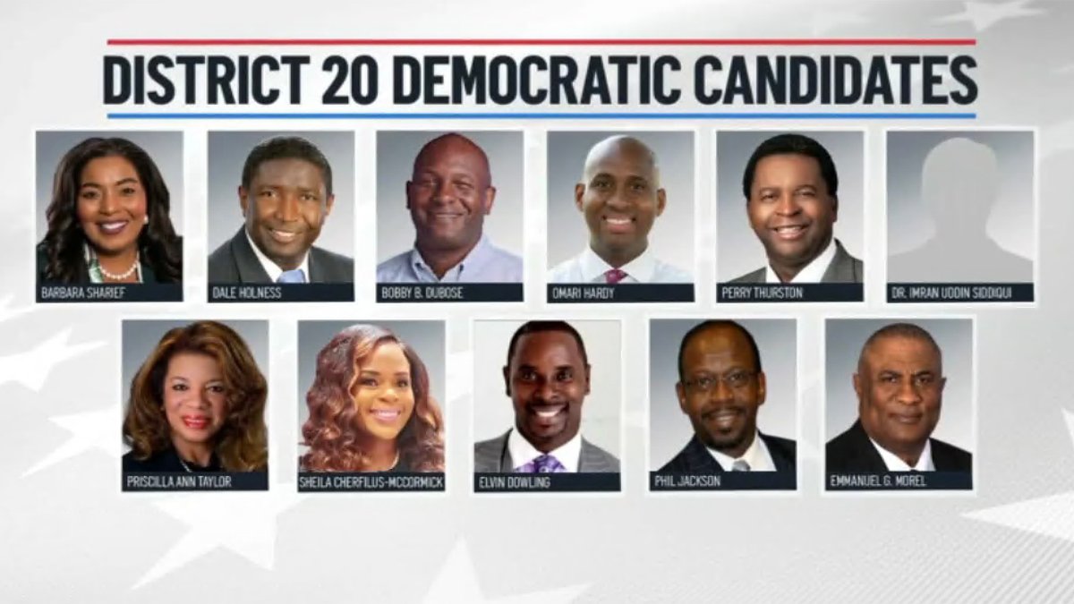Republican Winner, Democrats Close in South Florida's District 20 Race - Vimarsana News