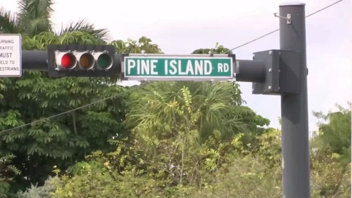 'You Took Her From Me': Sister of Woman Killed in Sunrise Crash Confronts Driver – NBC 6 South Florida - Vimarsana News