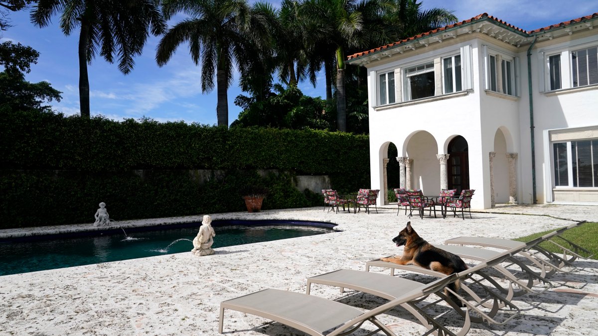 Story About Dog ‘Selling’ Mansion Part of LongRunning Tale NBC 6