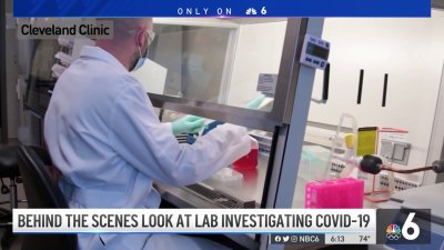 Virus Outbreaks Could Be More Common in the Future