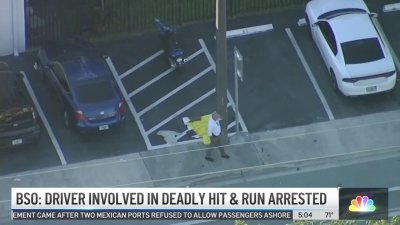 Driver Involved in Deadly Hit and Run Crash Arrested