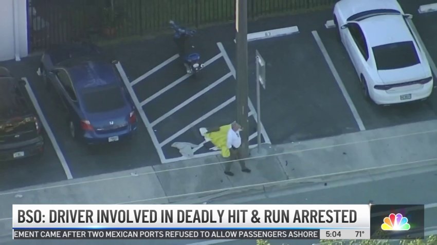 Driver Involved in Deadly Hit and Run Crash Arrested