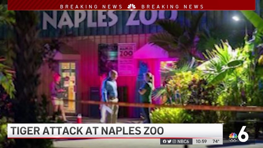 Tiger Attacks Man at Naples Zoo