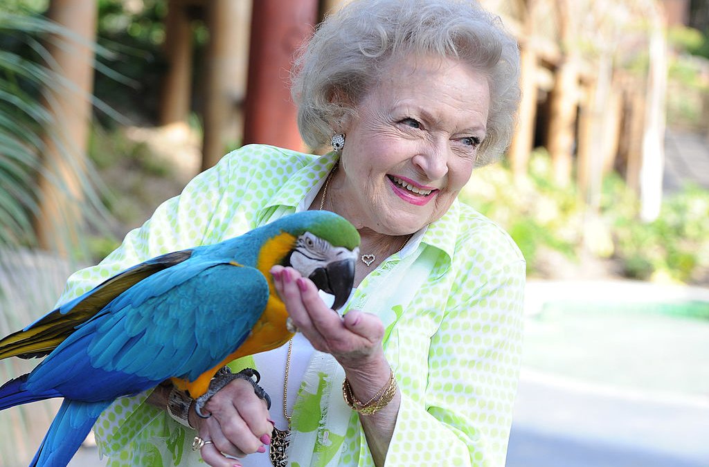 LA Zoo Honors Betty White on Her 100th Birthday – NBC 6 South Florida - Vimarsana News