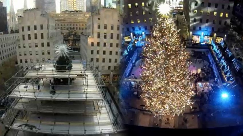2021 Rockefeller Center Christmas Tree See The Time Lapse Nbc 6 South Florida