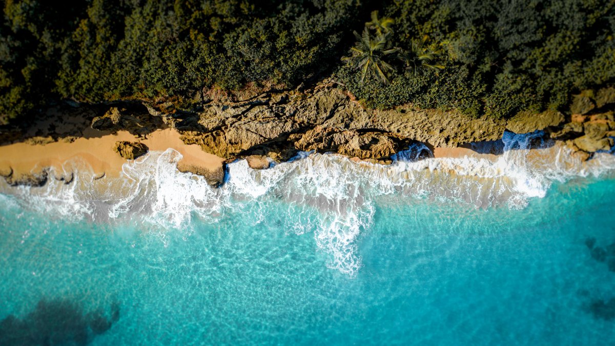 Bitcoin Millionaires Are Moving to Puerto Rico for Lower Taxes and Island Living - Vimarsana News