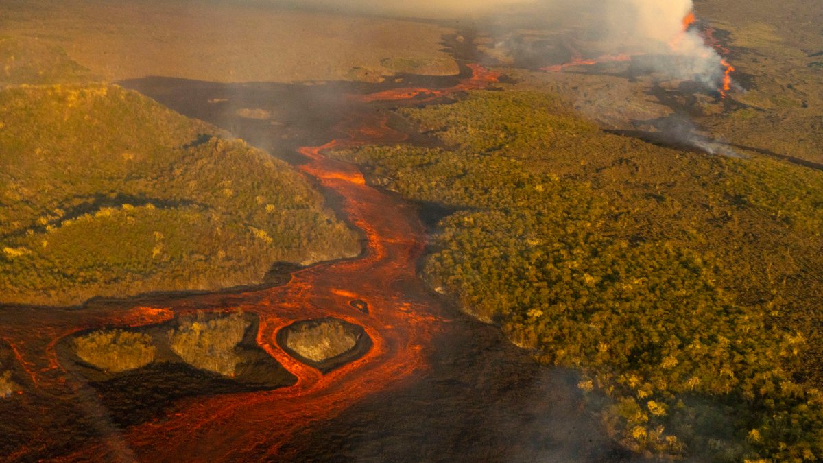 Volcano Erupts, Spewing Lava and Ash Over Pacific's Galapagos Islands - Vimarsana News