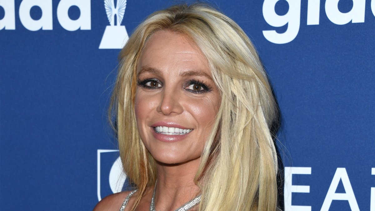 Britney Spears Shares Insight Into Her Relationship With Sons Sean Preston and Jayden James Federline
