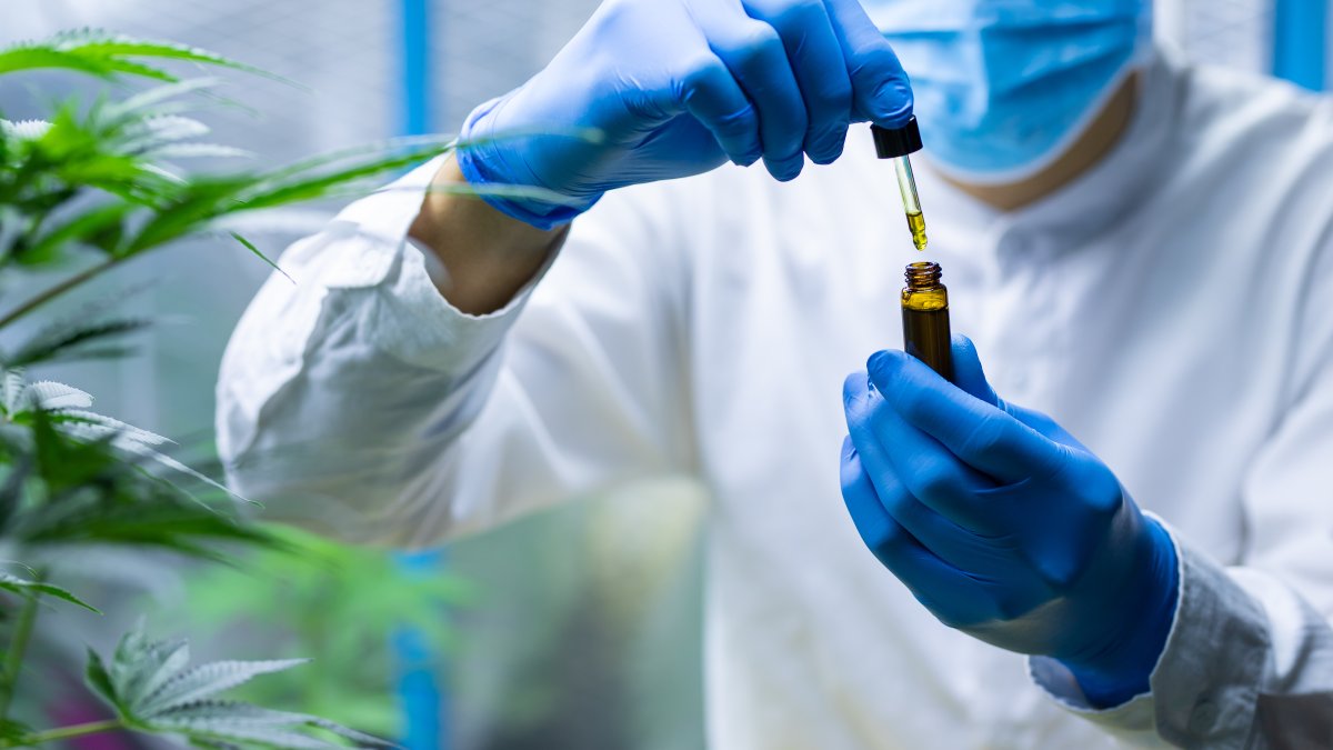 COVID-19 & Cannabis: Study Finds Hemp Compounds Prevent Coronavirus Infection – NBC 6 South Florida - Vimarsana News