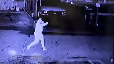 Video Shows Hialeah Man Accused in Stabbing Fleeing Scene on Bicycle