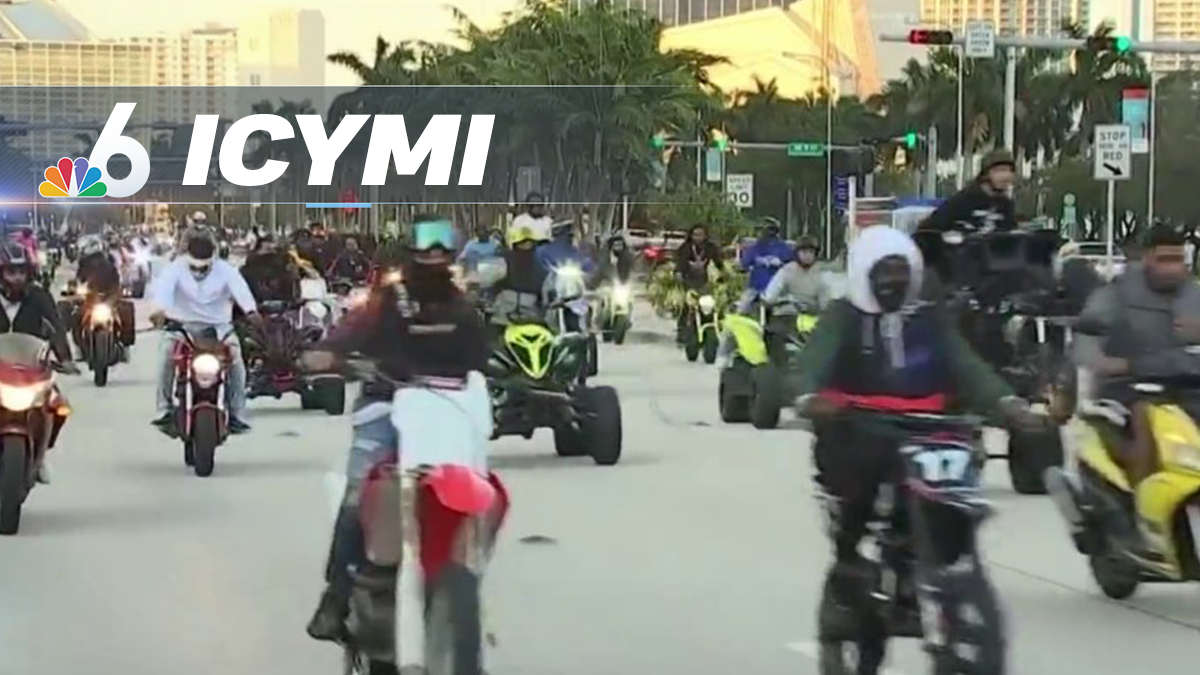 ICYMI: Cops Cracking Down on MLK Day Rideout, Trapped Baby Dolphin Rescued by Miami-Dade Officer ICYMI: Cops Cracking Down on MLK Day Rideout, Trapped Baby Dolphin Rescued by Miami-Dade Officer