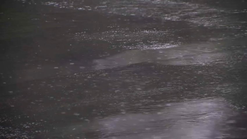 Rain in the North Bay.