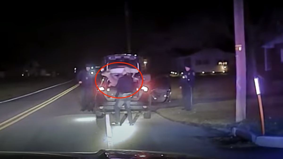 WATCH Pennsylvania Police Find Live Deer in Car’s Trunk During Traffic Stop NBC 6 South Florida