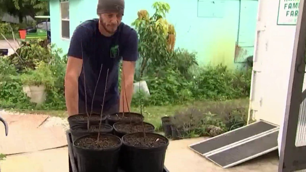 Farmers Ready to Weather the Cold Weather Storm - Vimarsana News