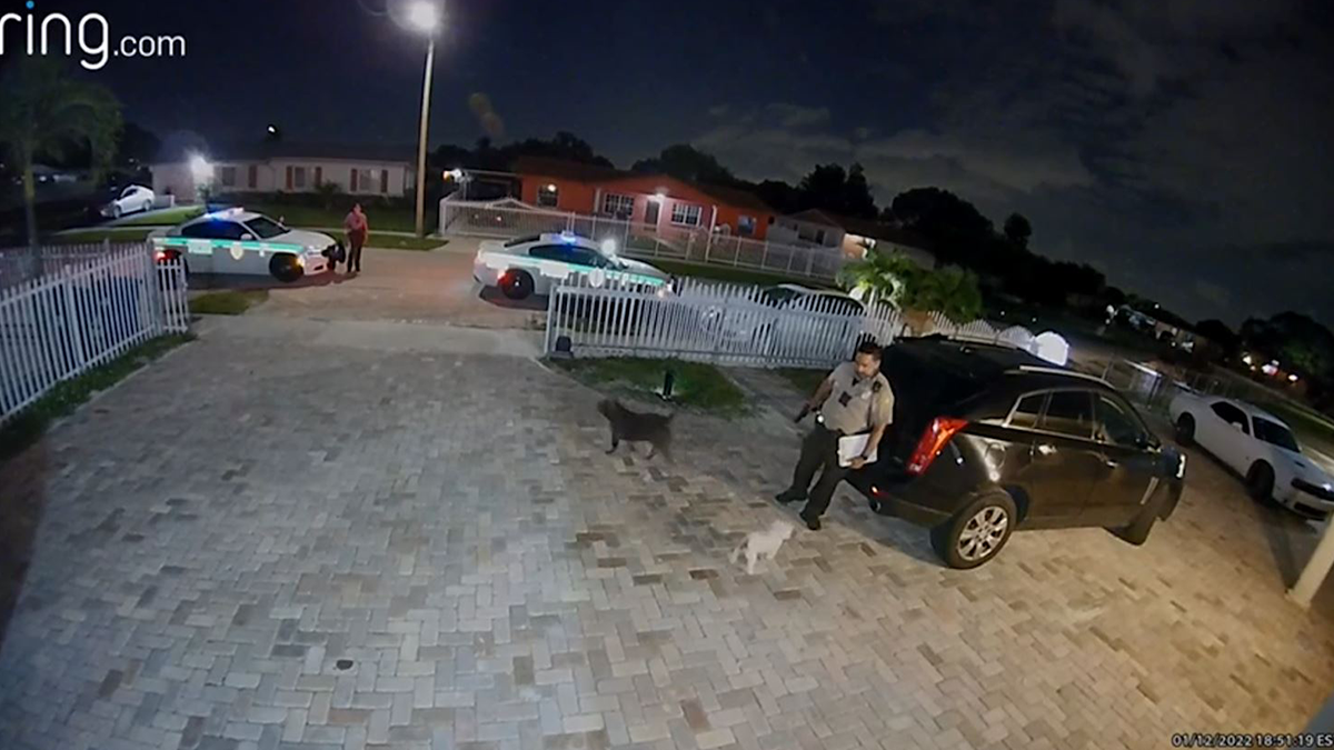 Featured image of post VIDEO: Police Officer Kills Dog in Miami-Dade After Barking Complaint