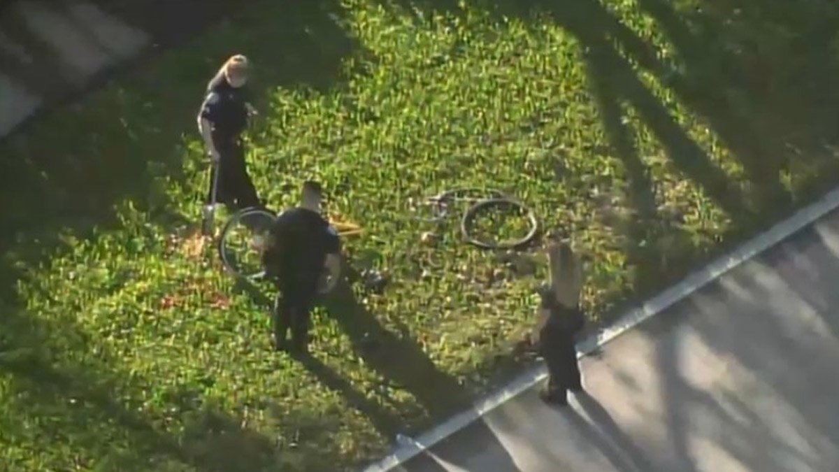Driver Sought After Cyclist Killed in Hit-and-Run in Sunrise – NBC 6 ...