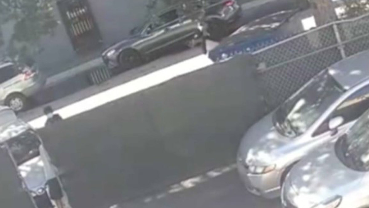 Suspects Sought After Video Shows Hollywood Business Owner Gunned Down