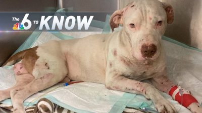6 to Know for Feb. 23, 2022 – Update