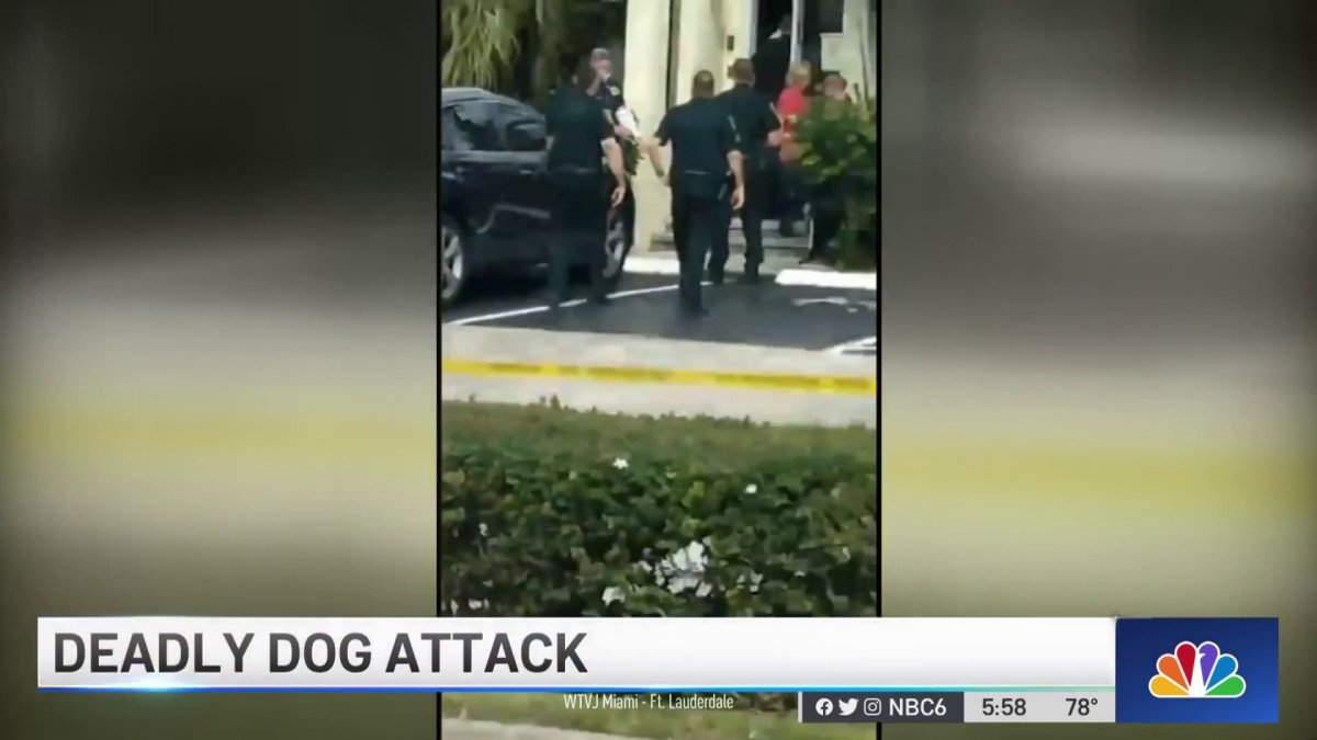 Woman Killed, 1 Hospitalized After Dog Attack – NBC 6 South Florida
