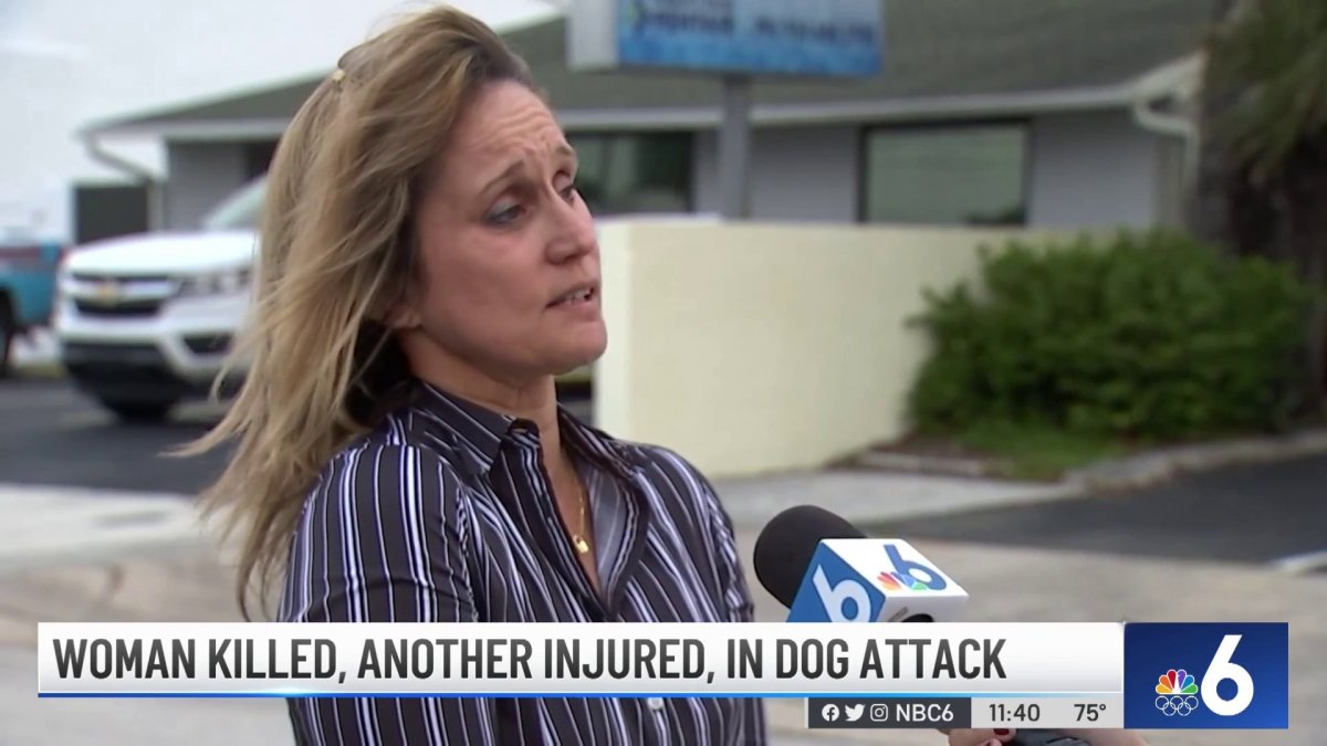 Animal Rescue Volunteers Shocked After Fatal Dog Attack – NBC 6 South ...