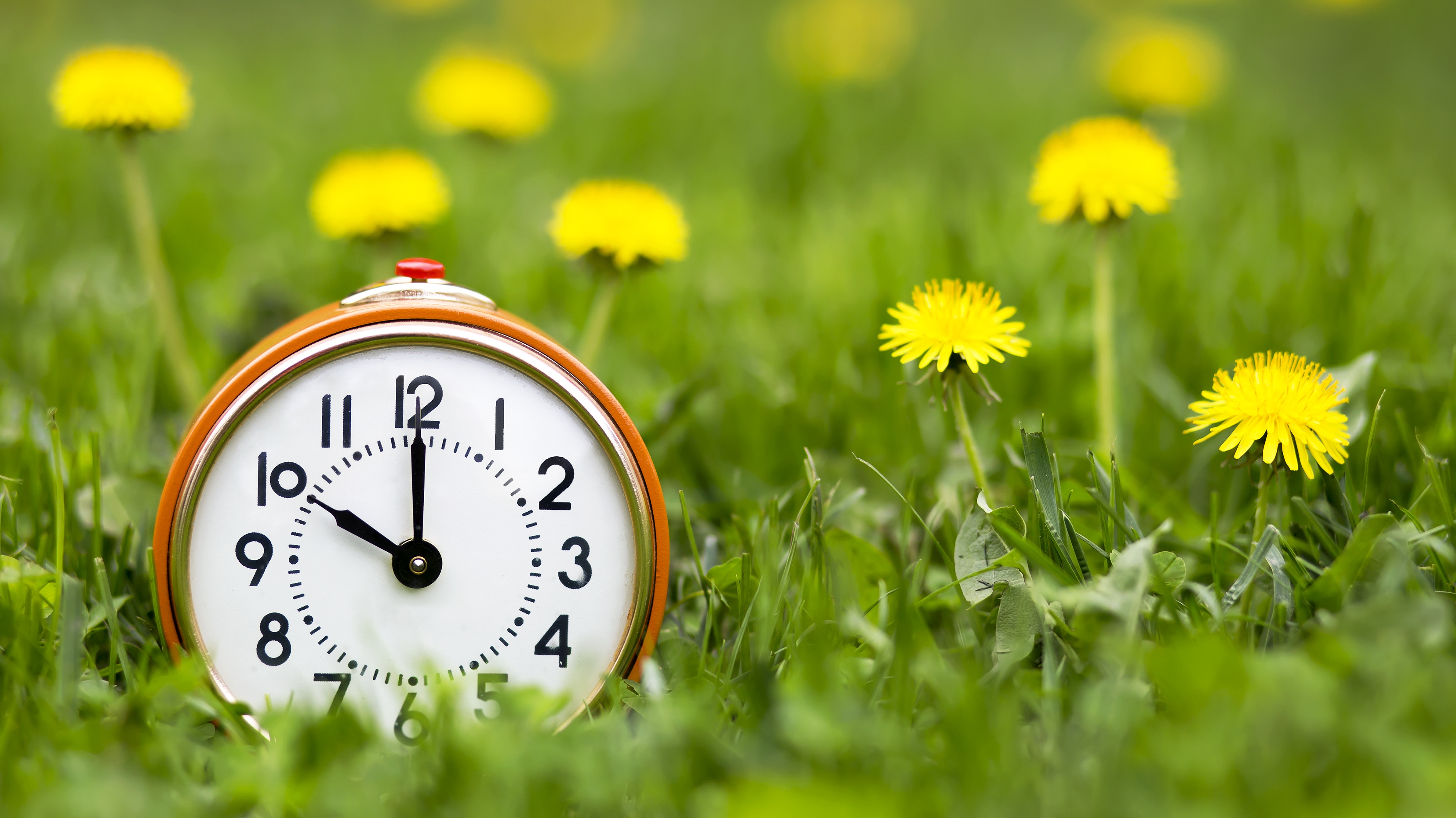 Daylight saving time 2023: When to change clocks