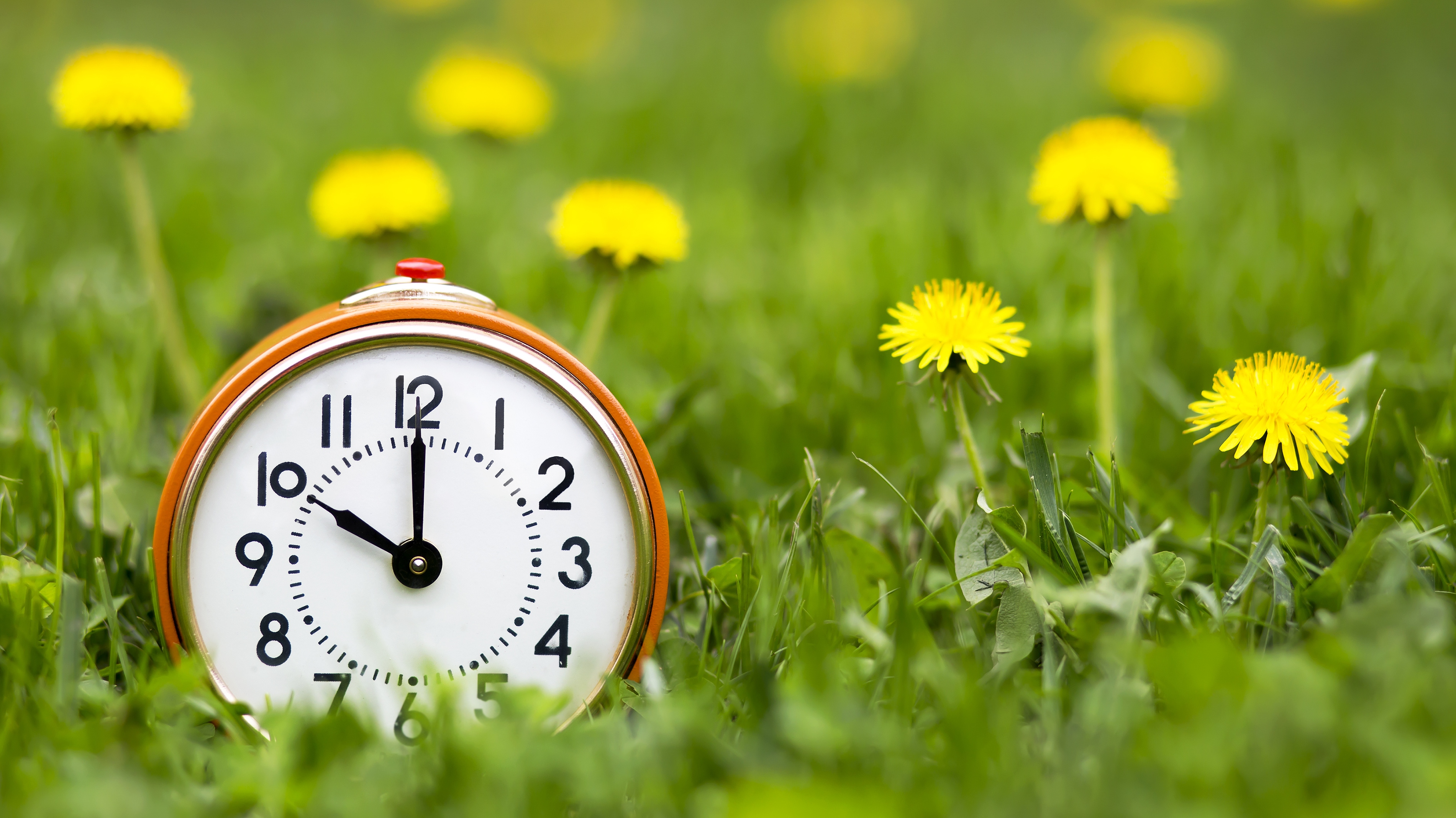 Spring Forward' in Florida: When Does Daylight Saving Time Begin