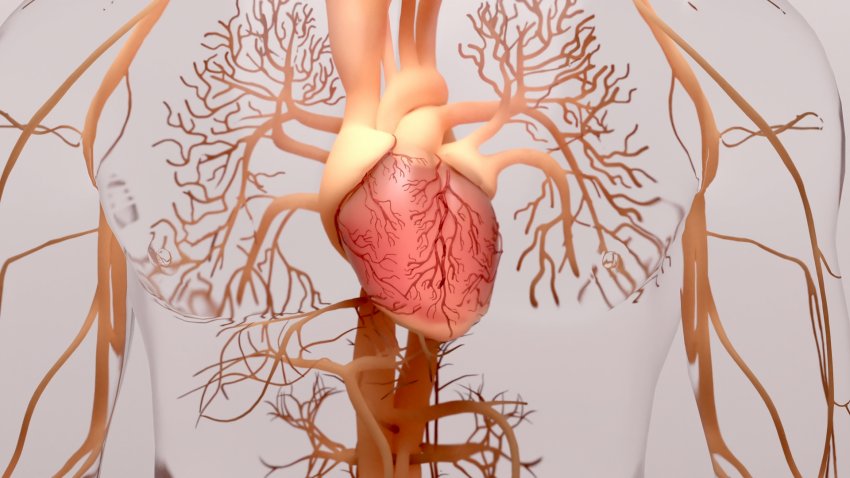 What is Trimetazidine?