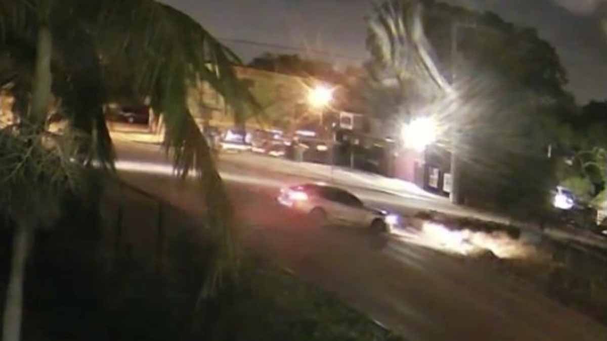 Hit-and-Run Driver Killed Dog, Left Man Critically Injured in NW Miami ...