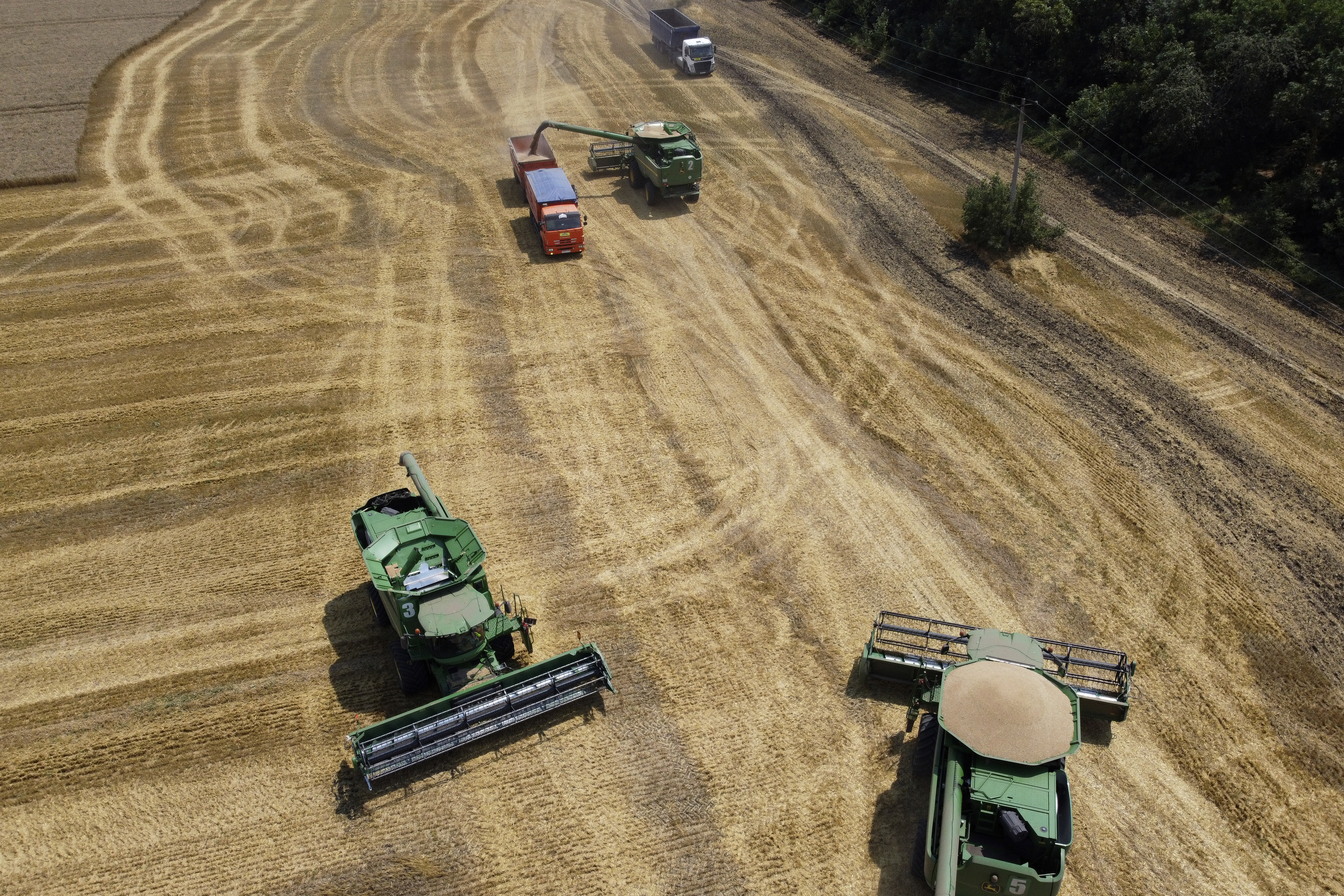 Russian War in World's 'Breadbasket' Threatens Food Supply – NBC 6 South Florida - Vimarsana News