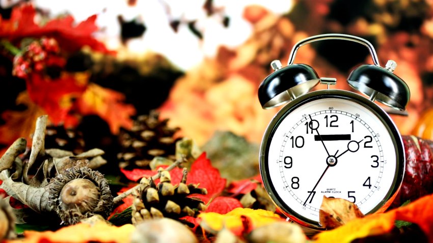 Everything You Should Know About Daylight Saving Time