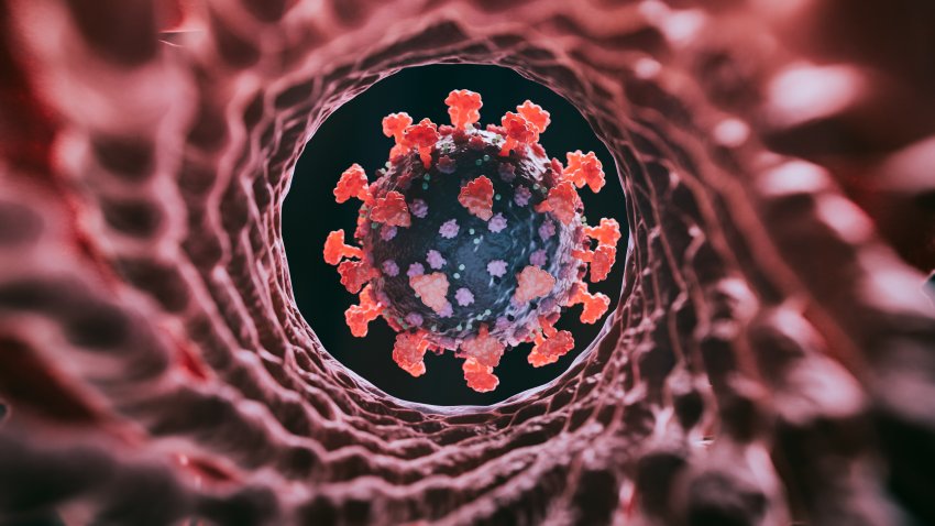 Abs technology COVID-19 research – 3d rendered image. Pandemic wave.
Viral Infection concept. Delta, Omicron (B.1.1.529) variant. Sars-cov-2, 2019-nCoV, Coronavirus.
Antibody, Antigen, stealth, Vaccine technology concept.