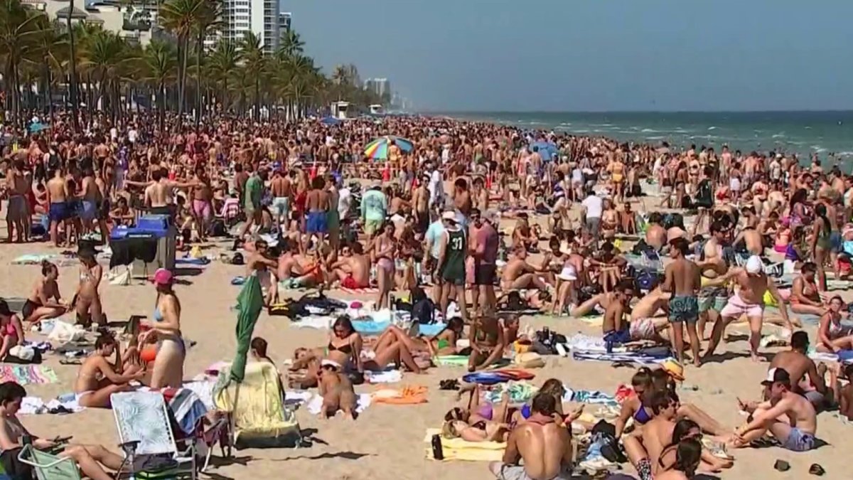 1200px x 675px - Great, But Concerning': Spring Breakers Pack Fort Lauderdale Beach â€“ NBC 6  South Florida