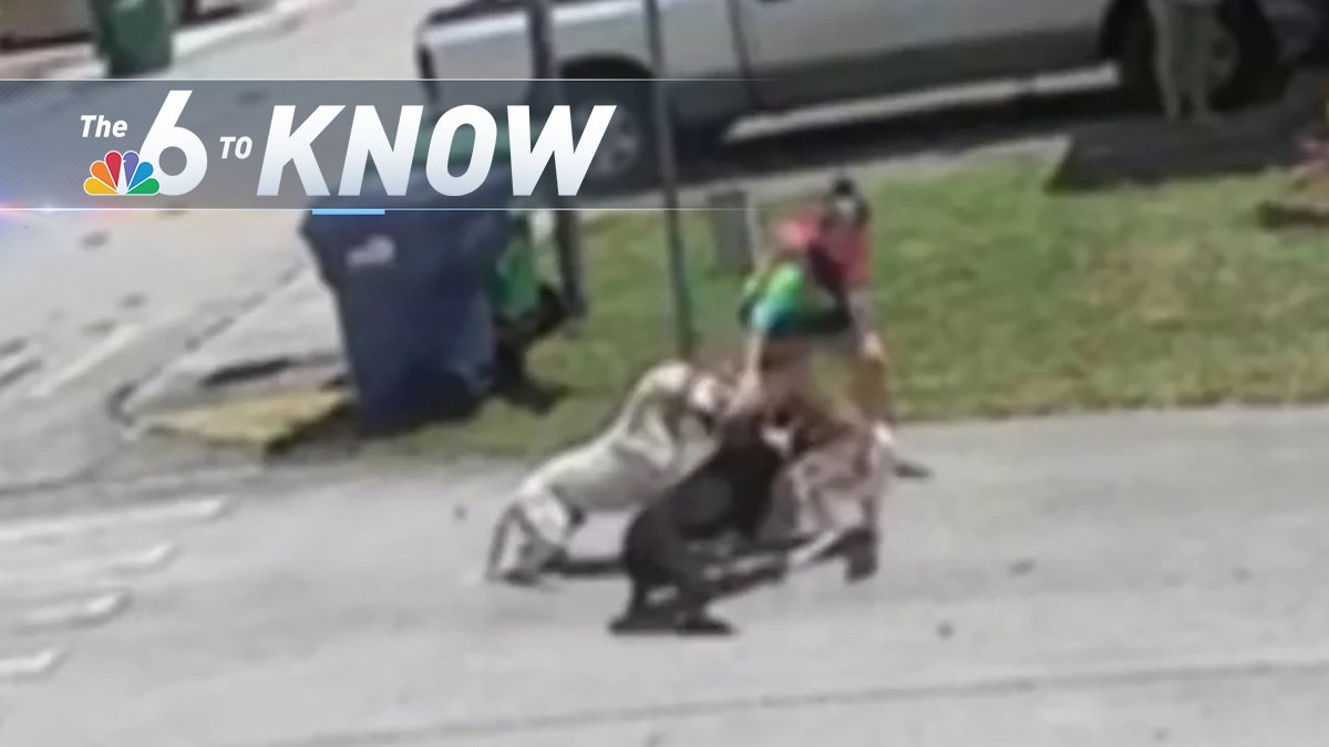 6 to Know: Top Stories of the Day – NBC 6 South Florida