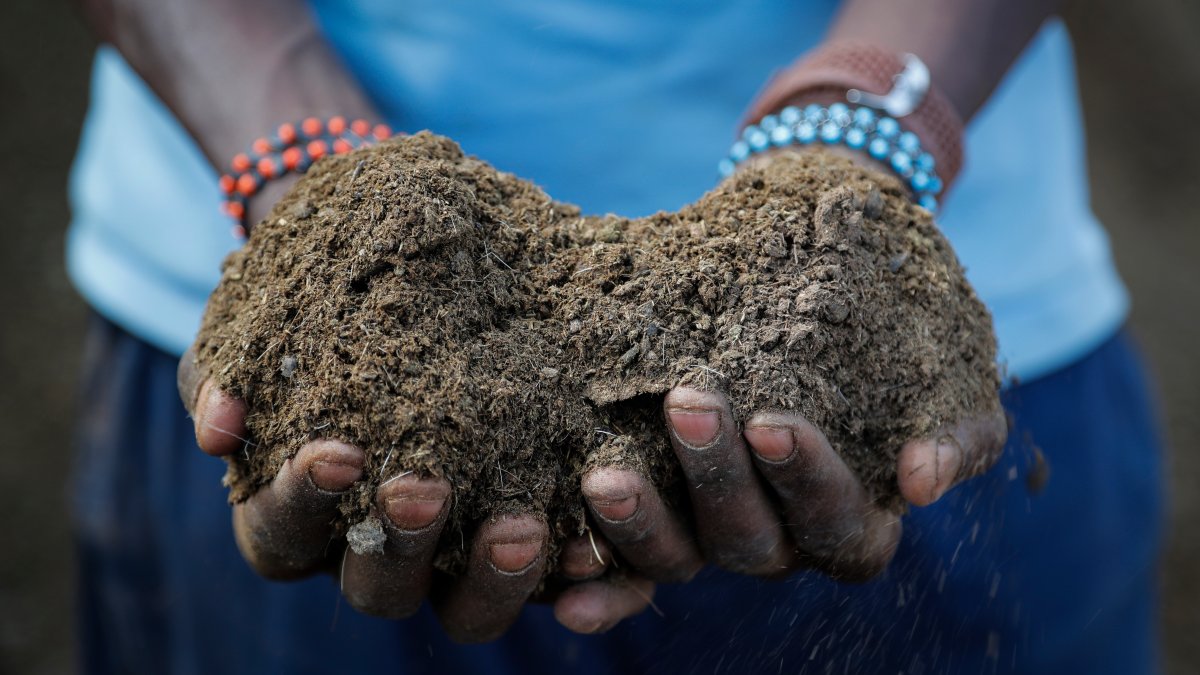 Russian War Worsens Fertilizer Crunch, Risking Food Supplies – NBC 6 South Florida - Vimarsana News