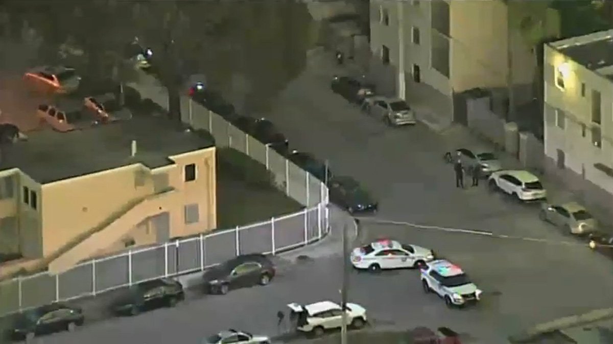 Vehicles Struck by Gunshots in Wynwood Neighborhood: Police – NBC 6 ...