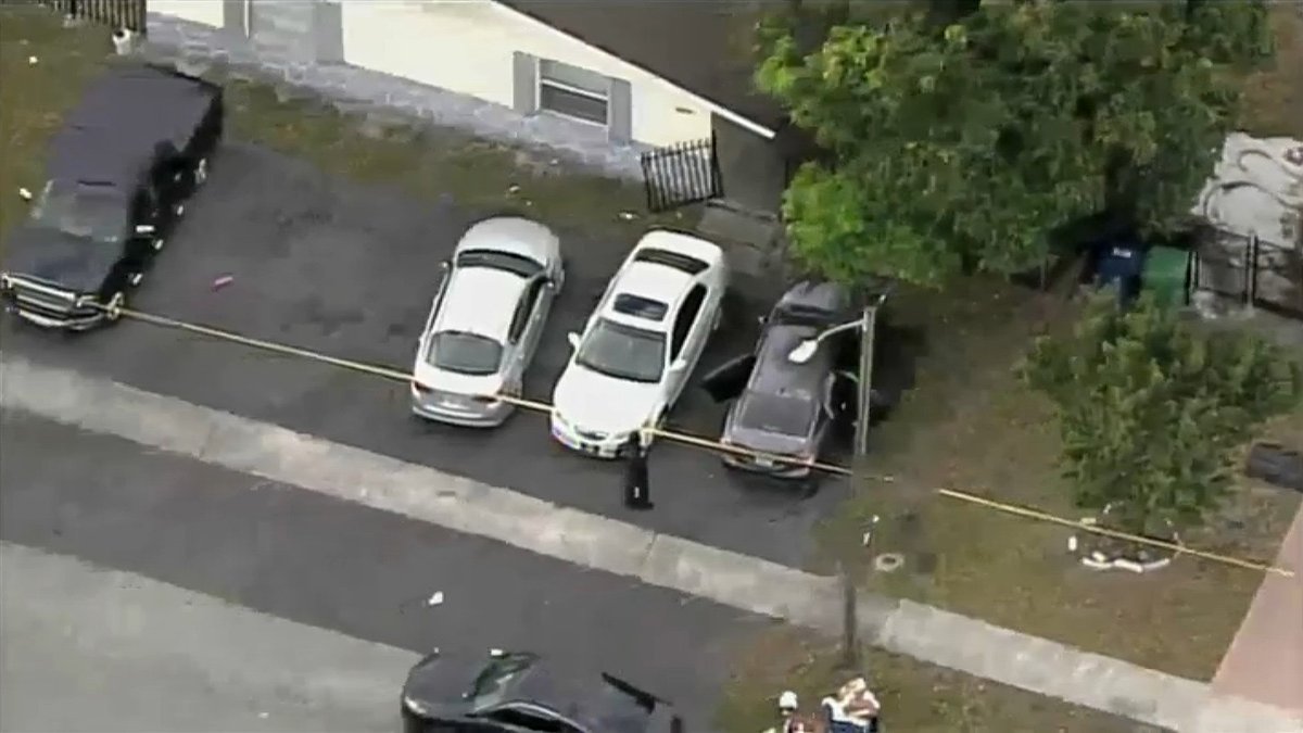 Dog Shot by Officer After Attacking Woman in Lauderhill: Police – NBC 6 ...
