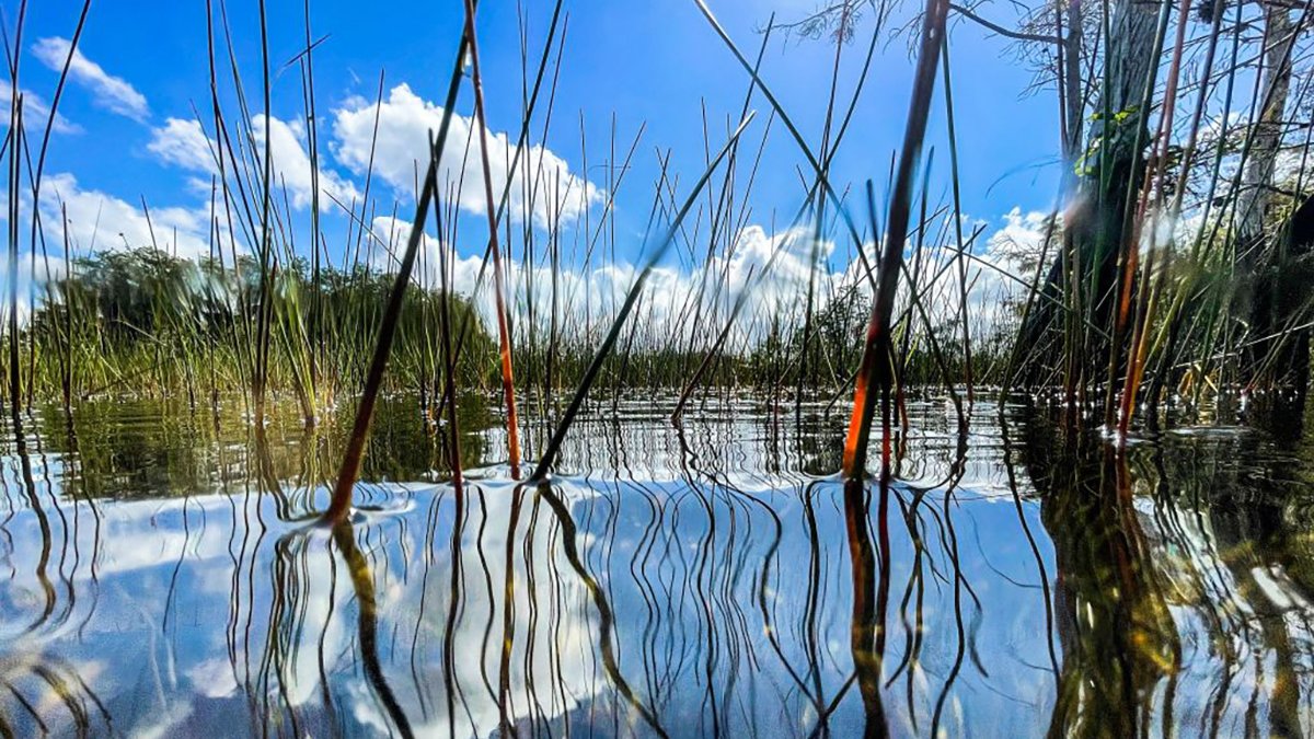 Fees Waived Saturday at National Parks, Monuments, Rec Areas for National Public Lands Day - Vimarsana News