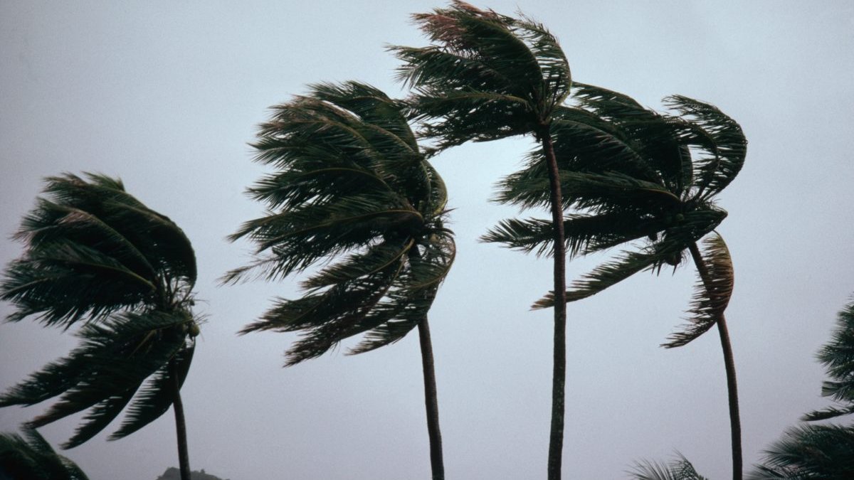 Why is it so windy in Florida: All your weekend weather explained