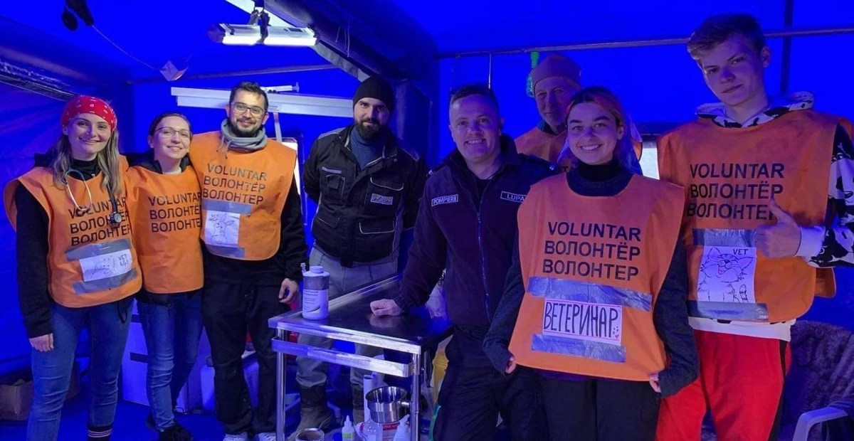 US Veterinarians Are Helping Displaced Ukrainian Pets - Vimarsana News