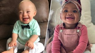 gerber babies