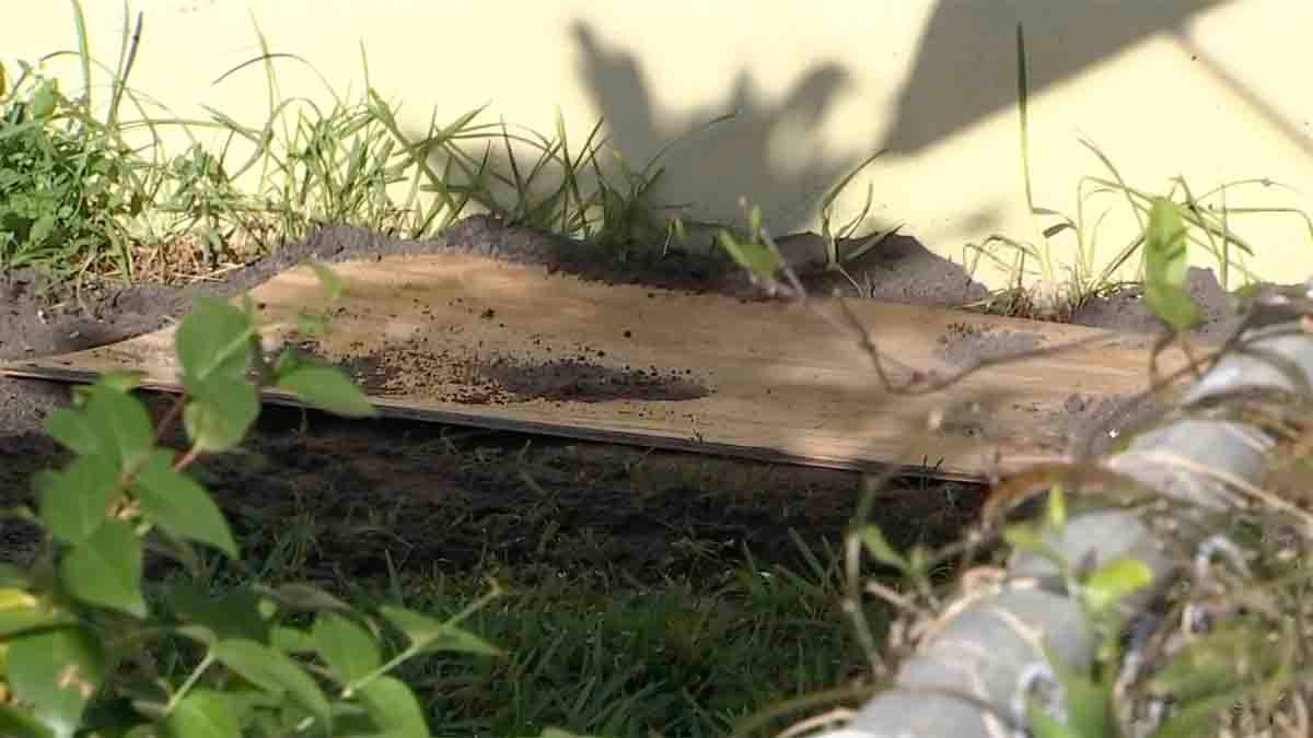 Woman in Custody After Man’s Body Found Buried in Shallow Grave at ...