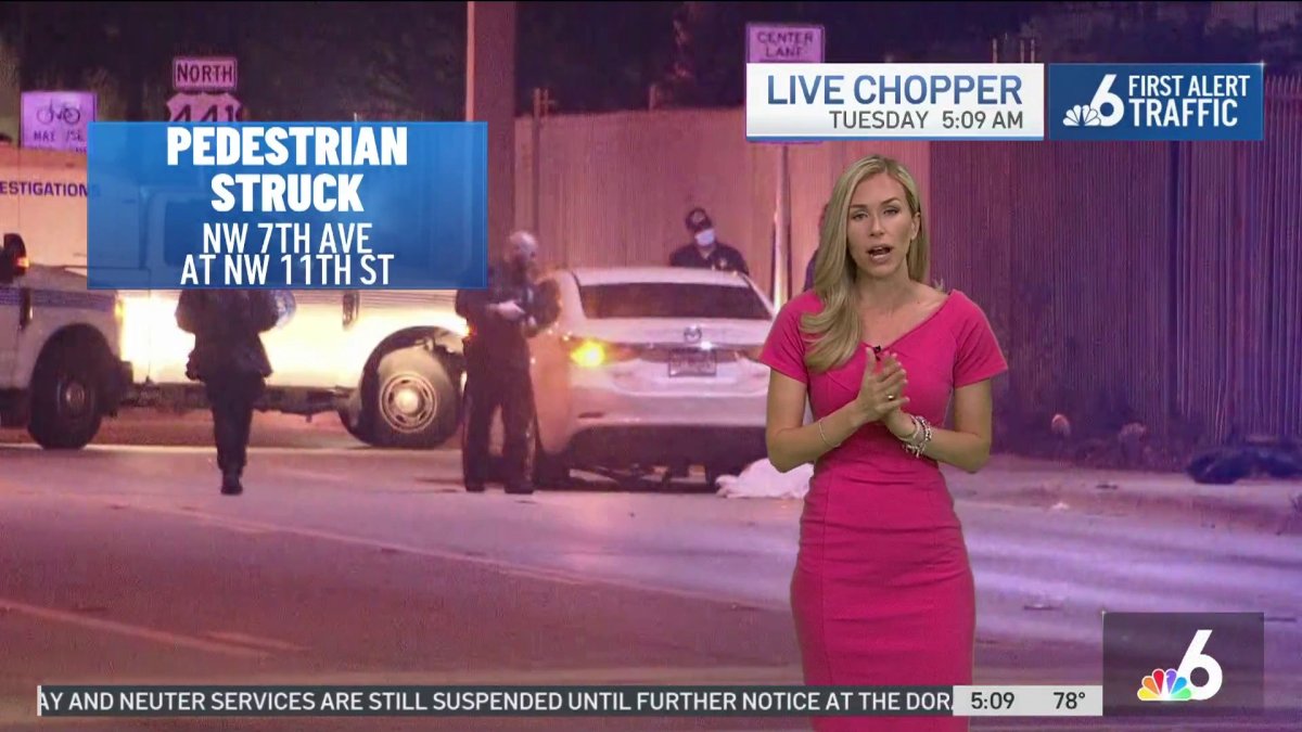 Pedestrian Struck and Killed by Car in Miami – NBC 6 South Florida