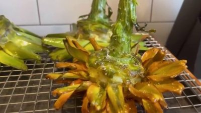 Maximum Flavor With Chef Adrianne: Fried Artichokes