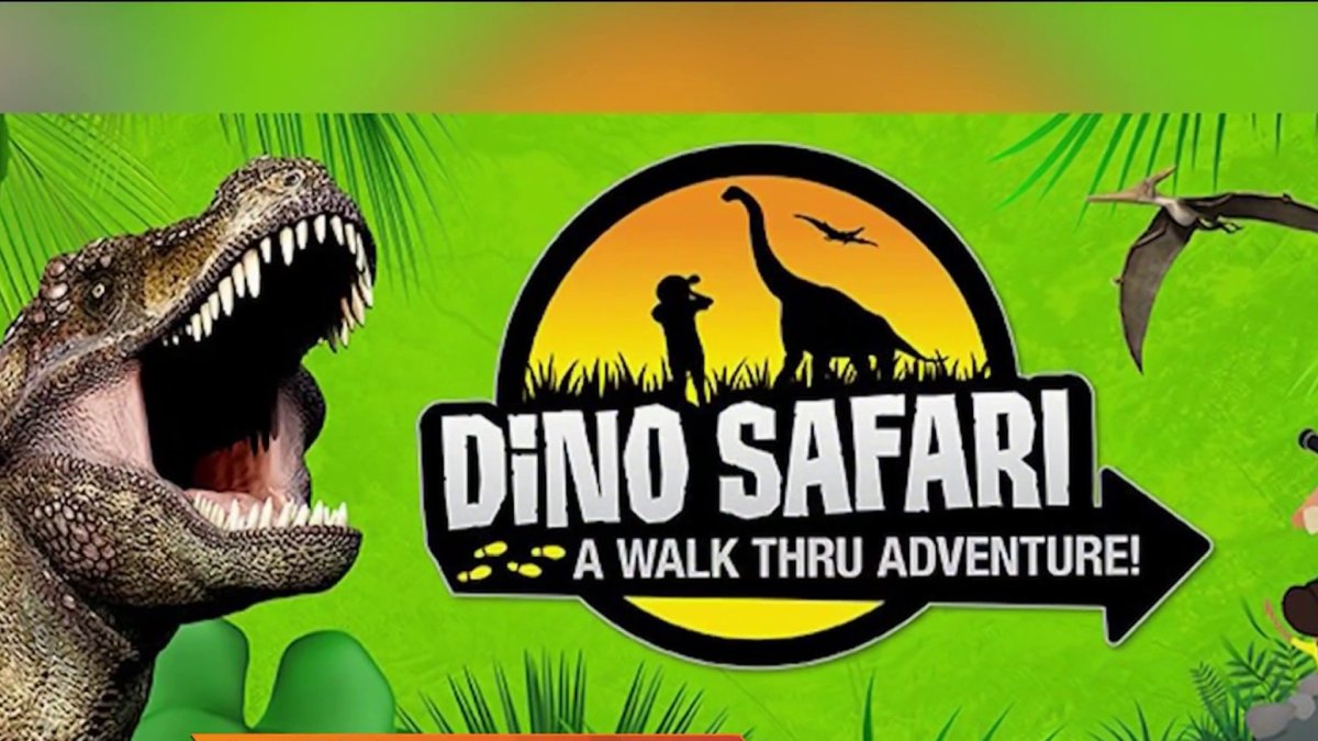 Dino Safari Experience Stays Through Memorial Day Weekend – NBC 6 South  Florida