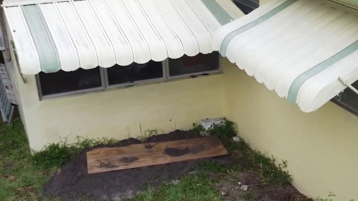 Woman Charged After Body Found Buried in Shallow Grave – NBC 6 South ...