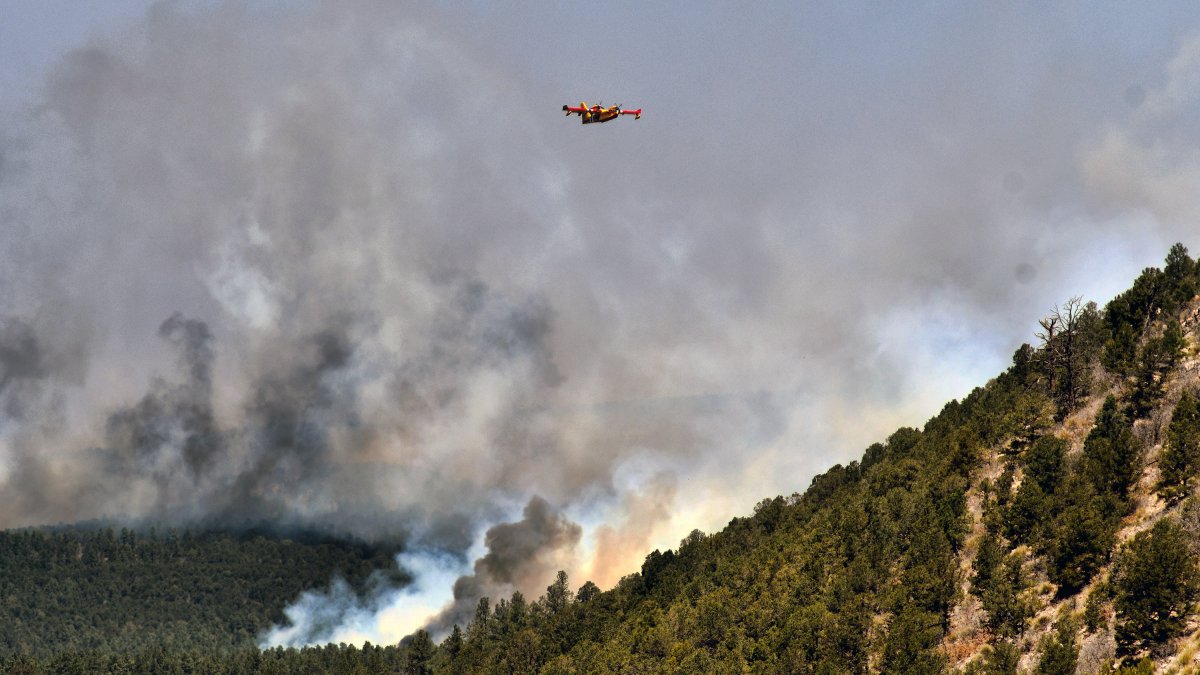Biden Declares Disaster in New Mexico for Largest Wildfire in US – NBC 6 South Florida - Vimarsana News