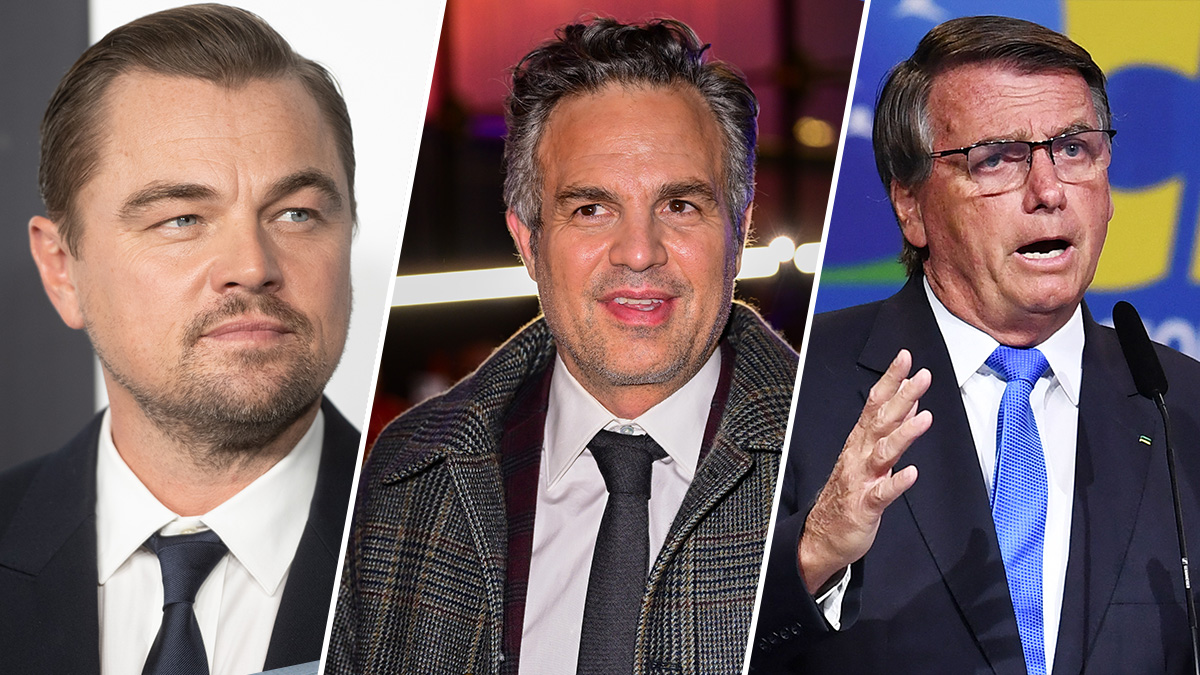 Actors DiCaprio and Ruffalo Urge Brazilians to Vote, Irking President Bolsonaro