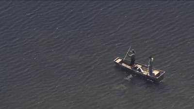 Man Dead After Possible Gator Attack Near Largo