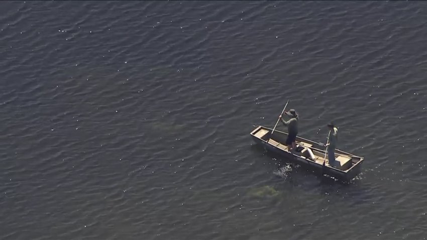Man Dead After Possible Gator Attack Near Largo